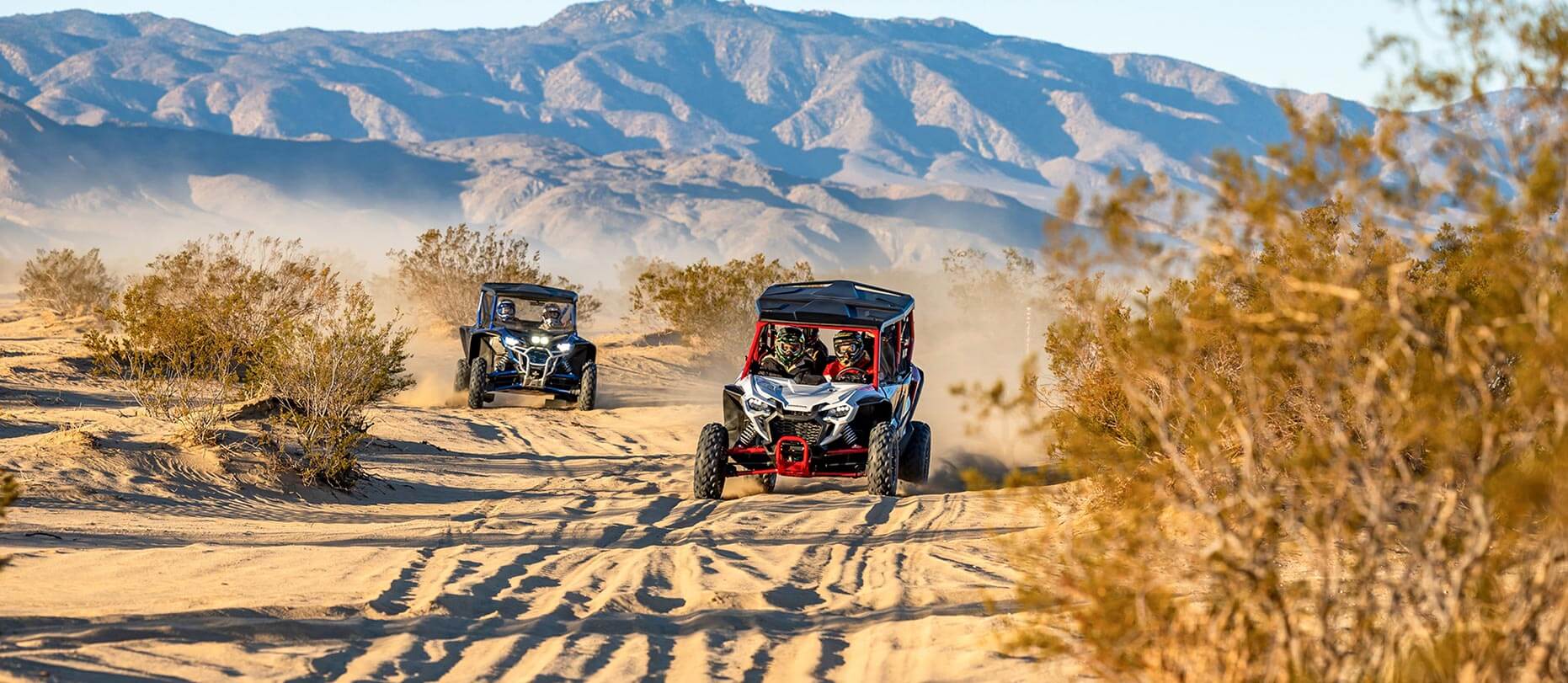 what-is-a-side-by-side-sxs-img