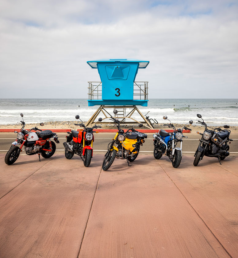 MULTI_01543_rt-BC_small