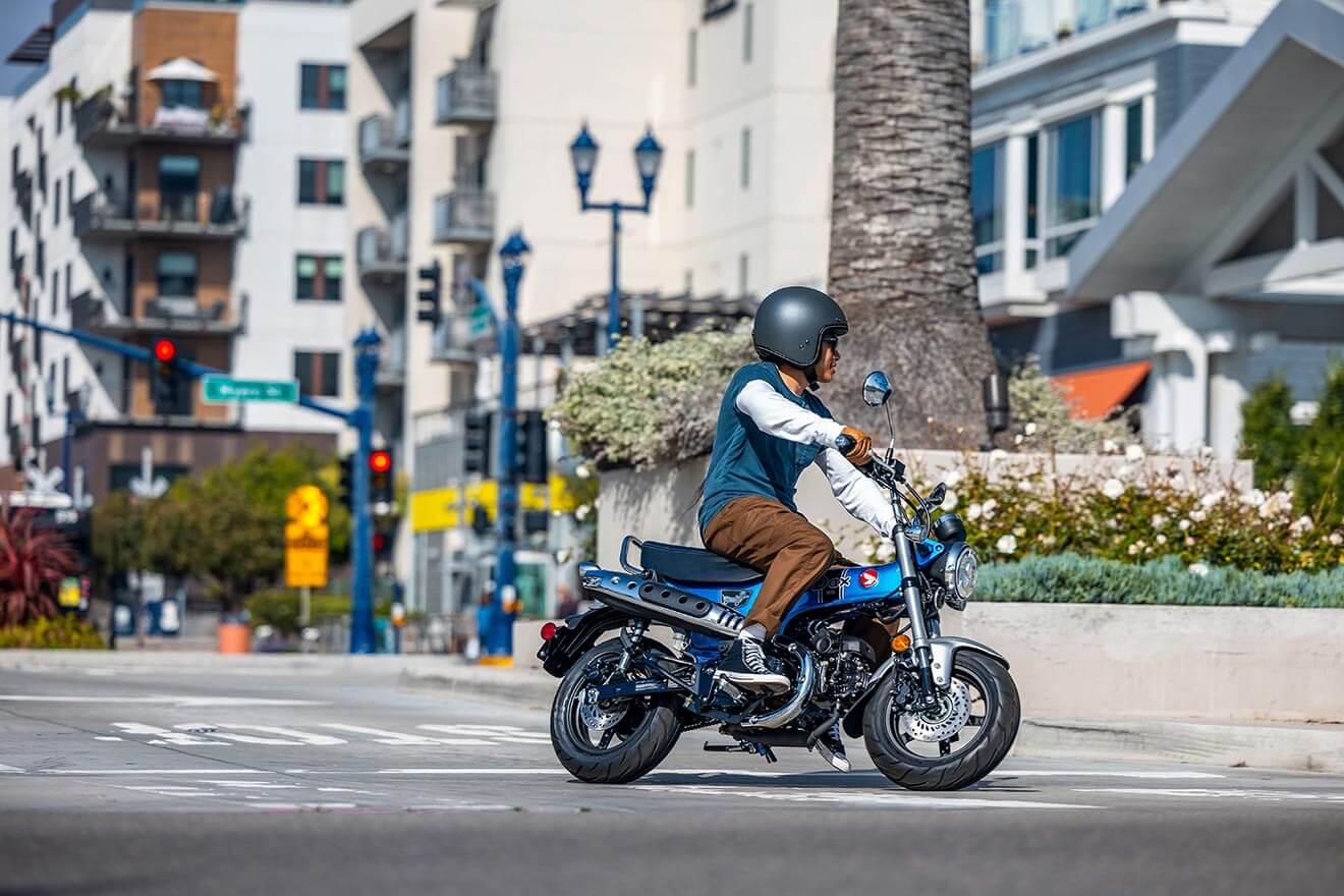 which-minimoto-is-best-for-you-img-1