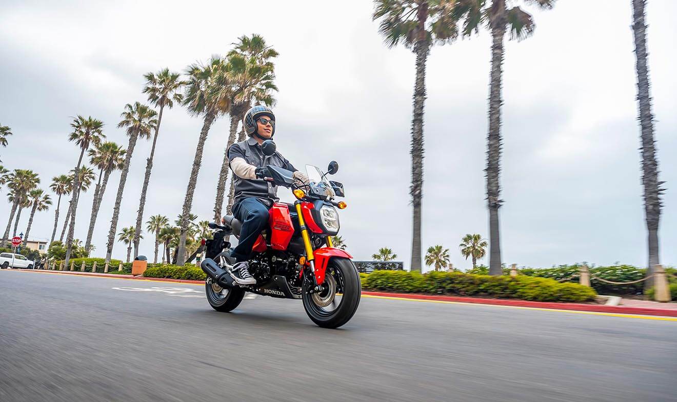 which-minimoto-is-best-for-you-img-2