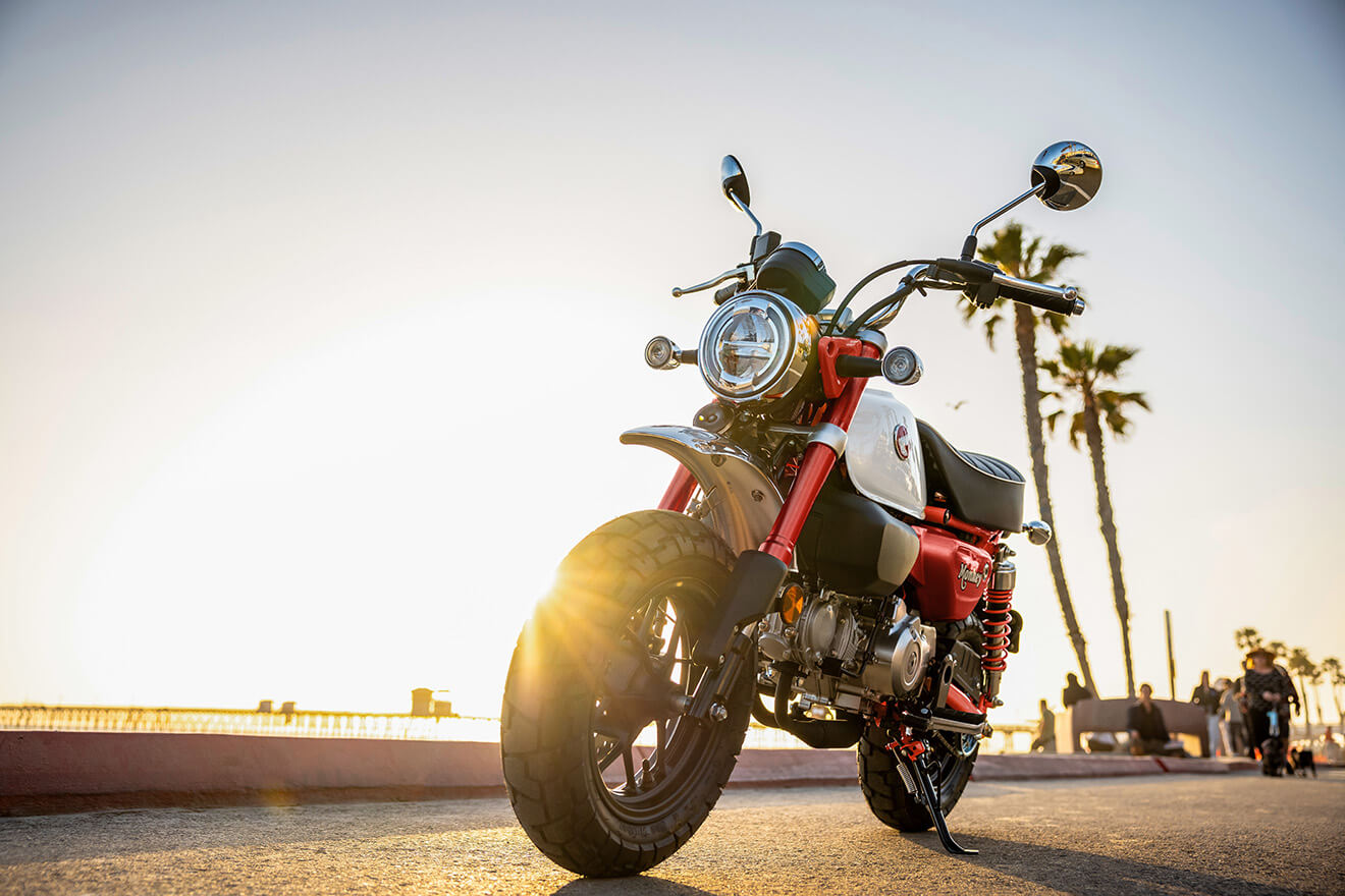 which-minimoto-is-best-for-you-img-5