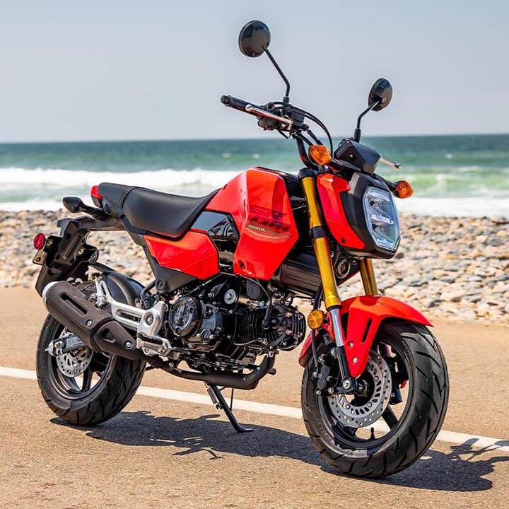 which-minimoto-is-best-for-you-img-9