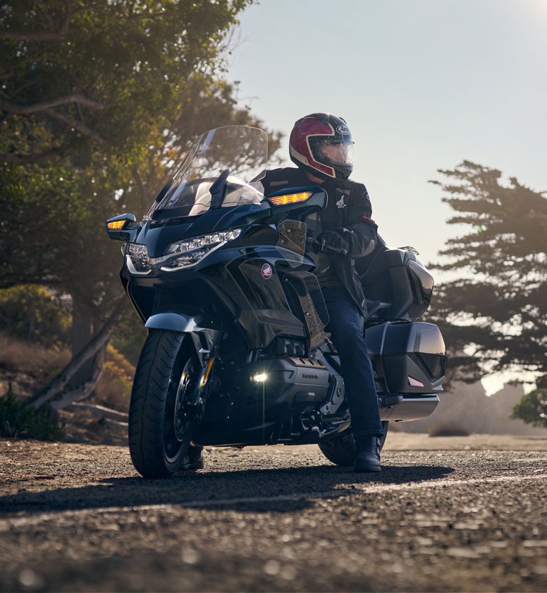 019_GOLDWING_1111-img-small