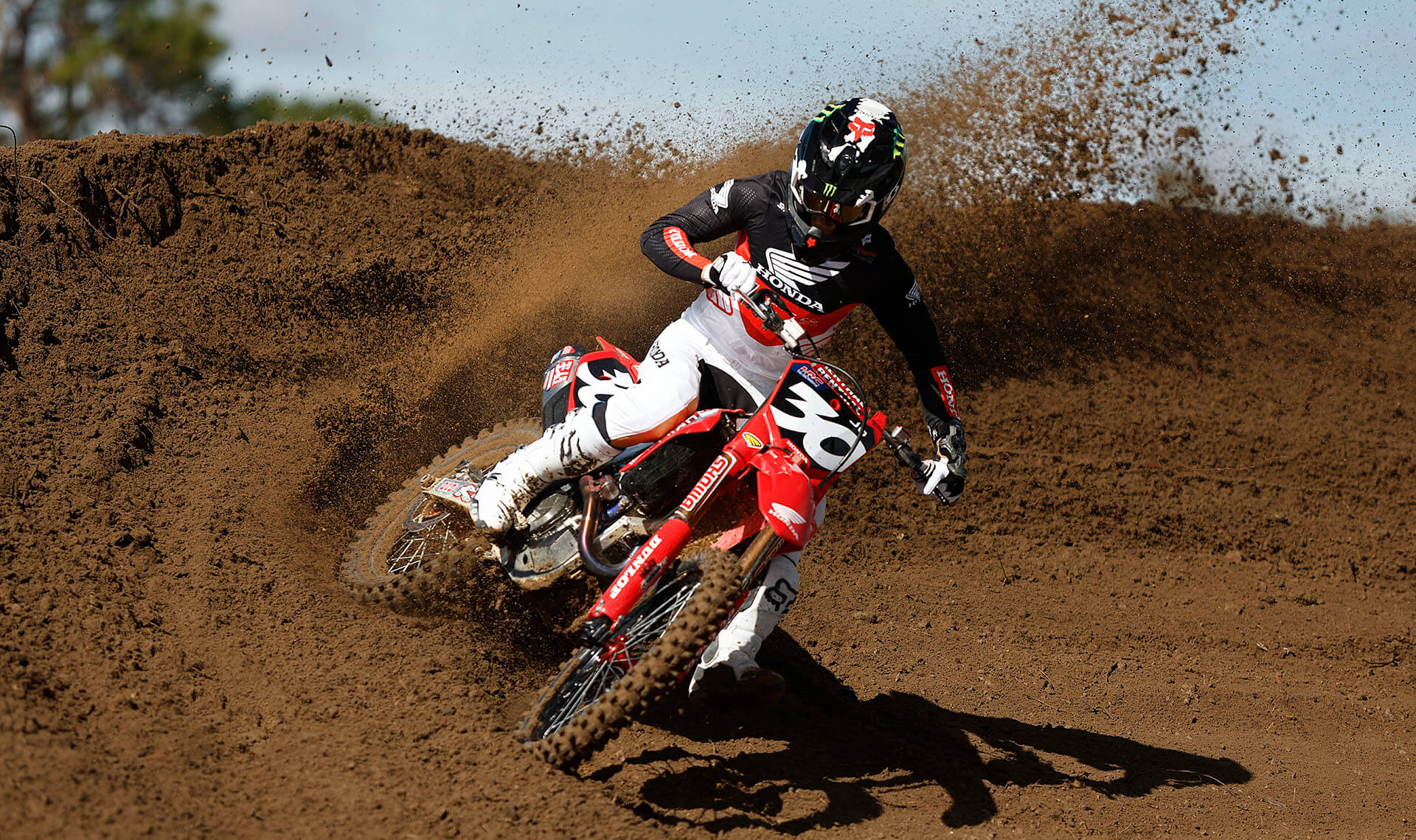 Jo-Shimoda-campaign-dt