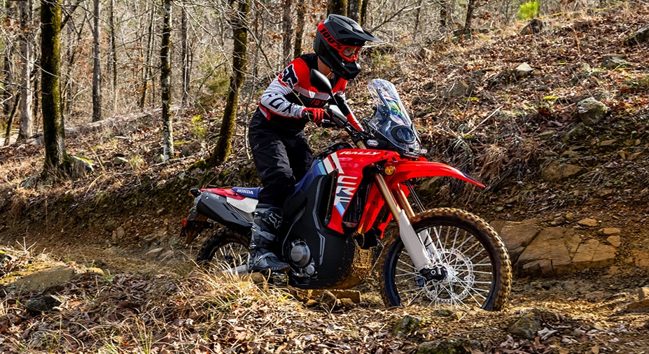 CRF300L Rally styling