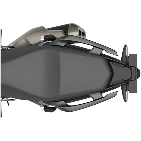 NX500 passenger handholds