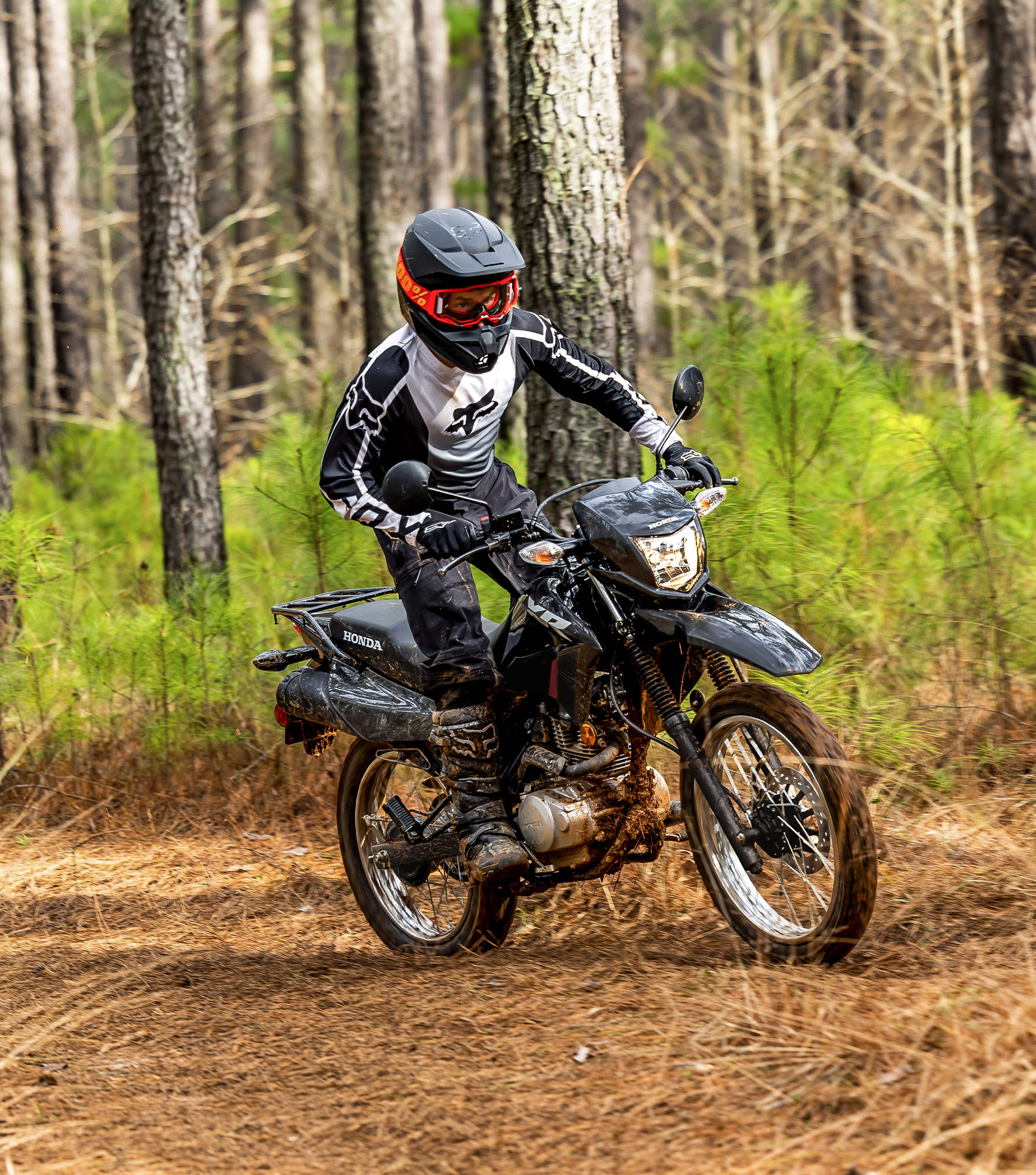 XR150L long-travel front suspension