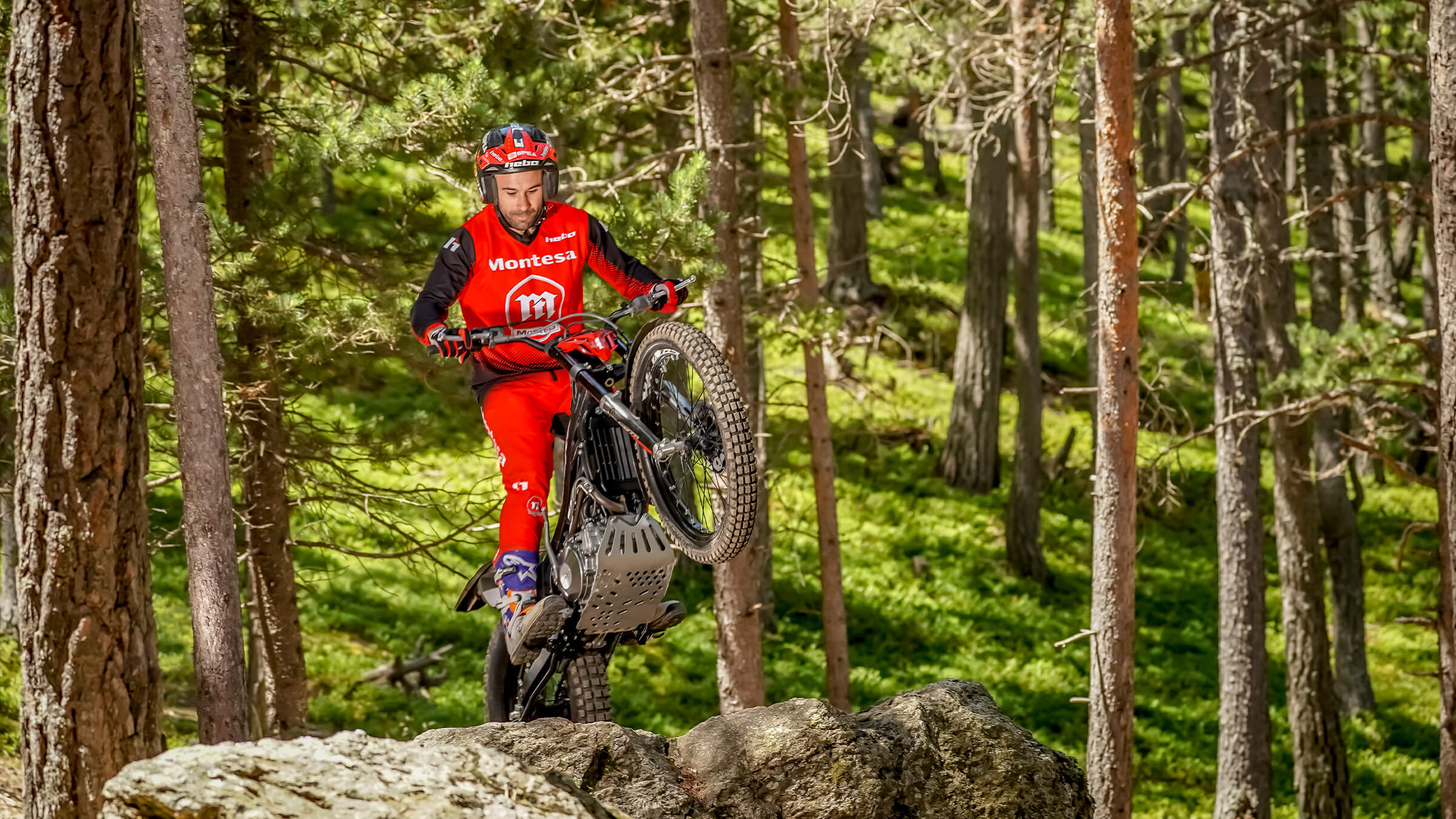 Montesa cycle on sale