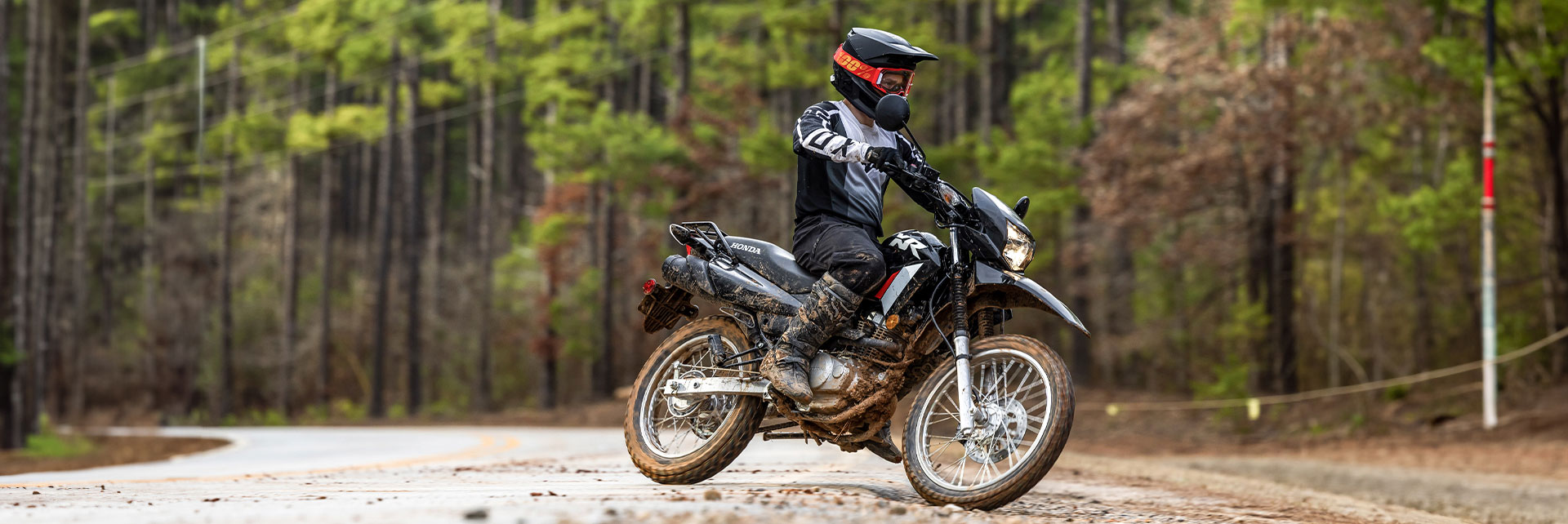Dual Sport