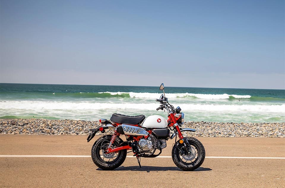 2025-monkey-gallery-04