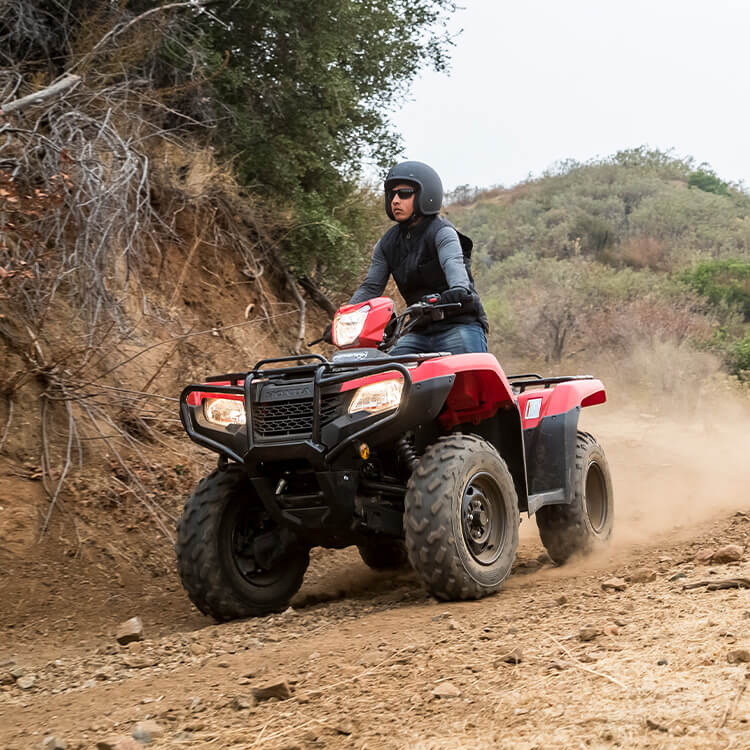 Gallery - FourTrax Foreman 4X4 8
