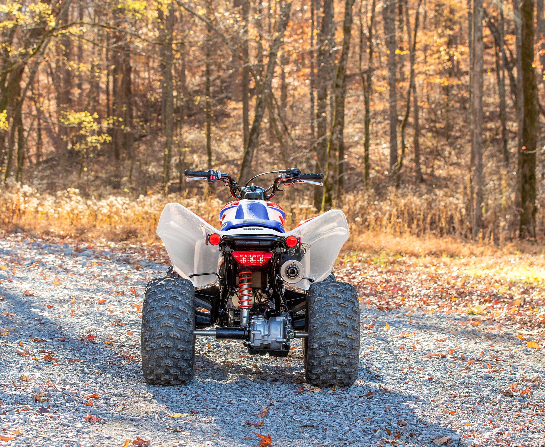 2025-TRX250X-gallery-01