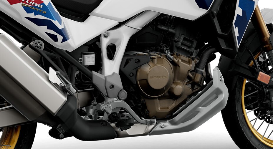 Twin intakes