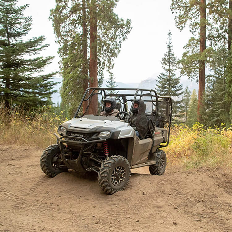 Gallery - Pioneer 700-4 0
