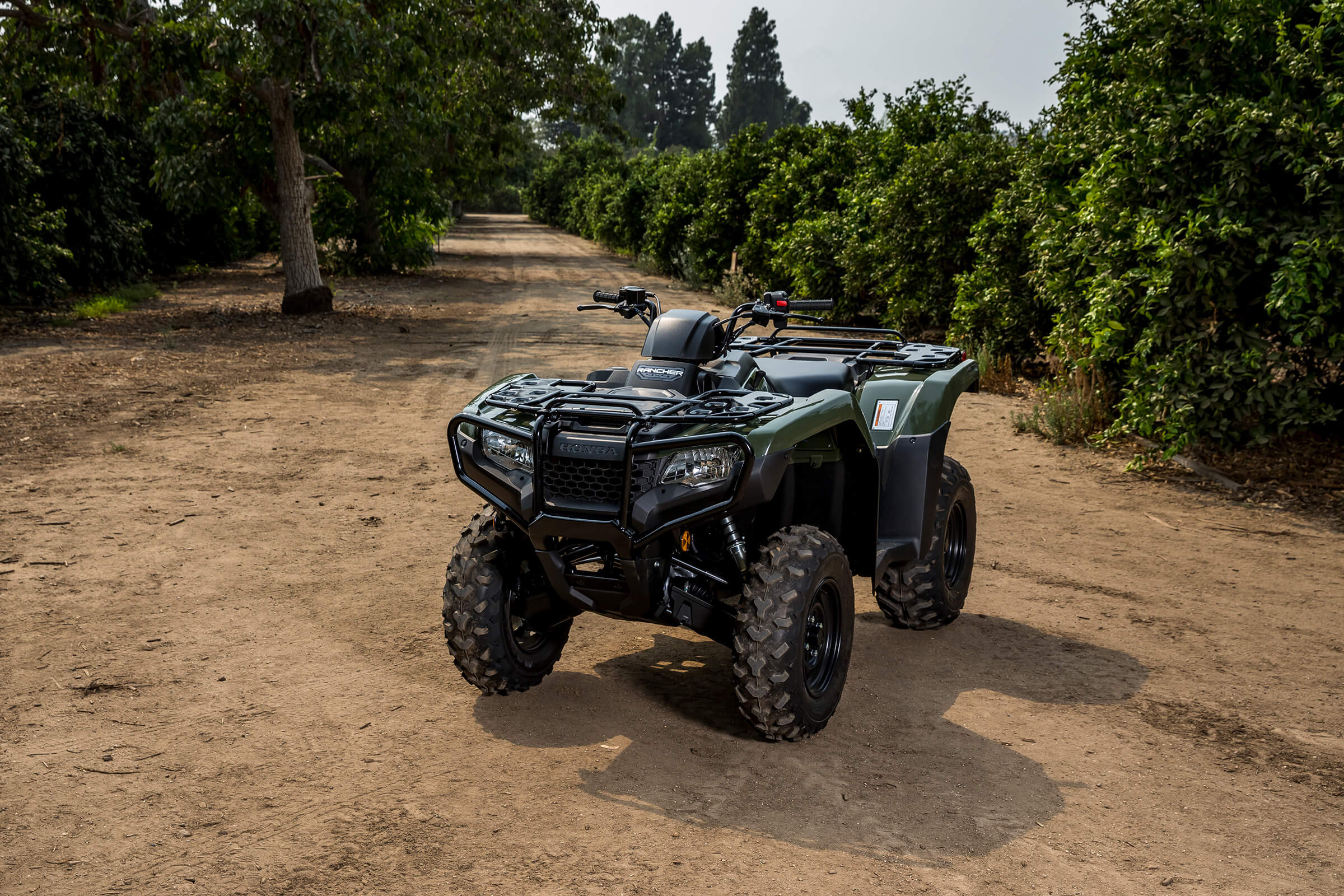 2024 Honda Rancher 350 Rosie Claretta