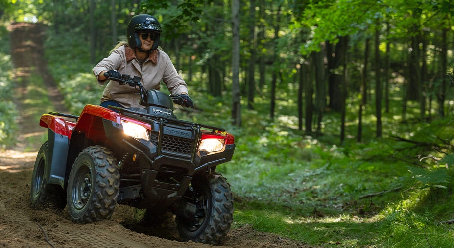 Electric Power Steering (EPS)