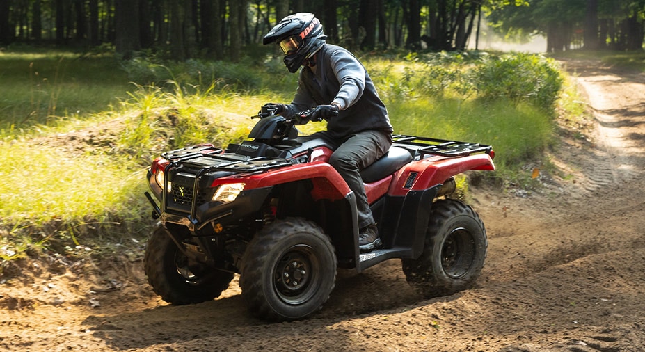 Programmed fuel injection