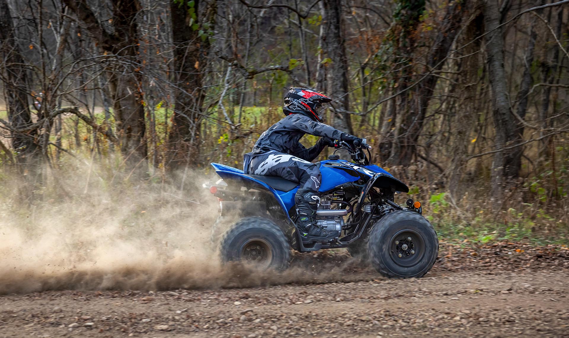 TRX250X | Sport ATV | Honda