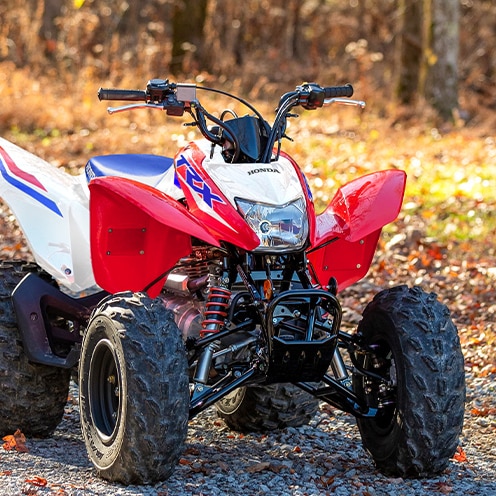 Honda 250x quad store