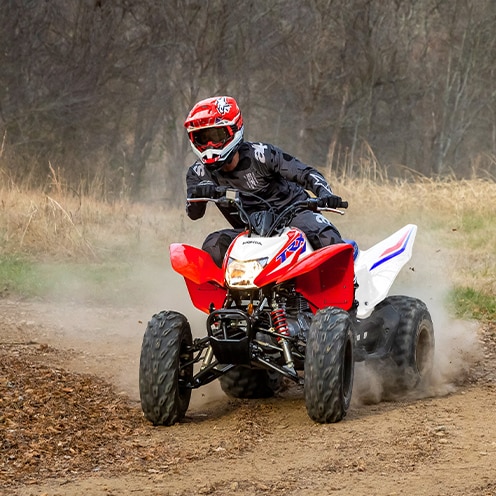 250 honda four wheeler 2025