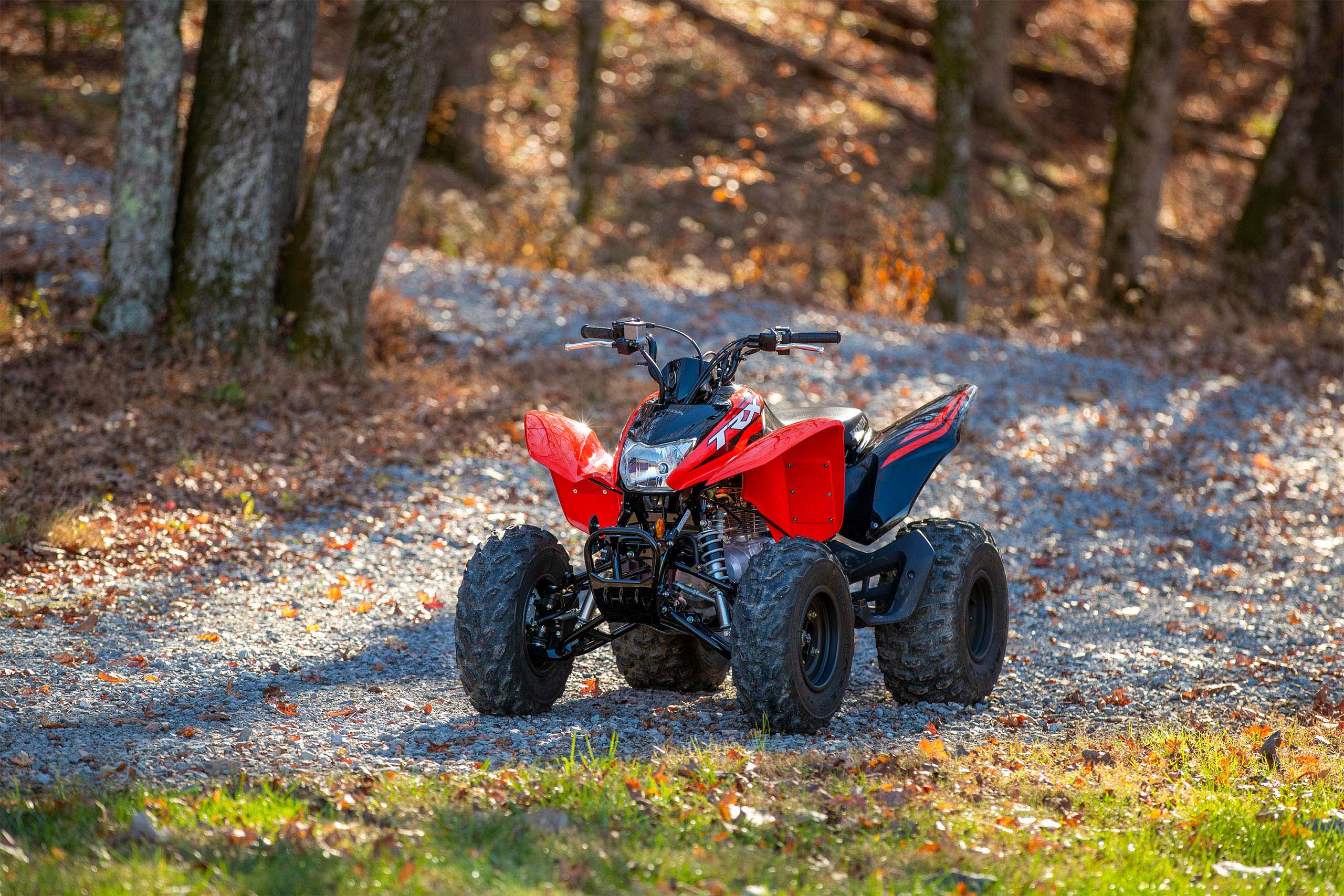 TRX250X Sport & Desert ATV Honda