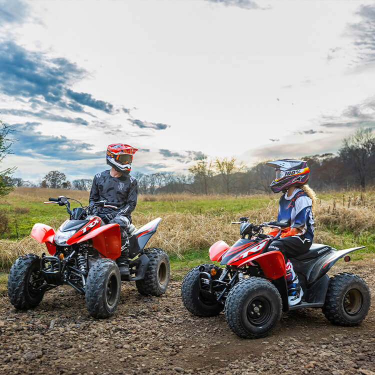 2021 honda sales trx250x for sale