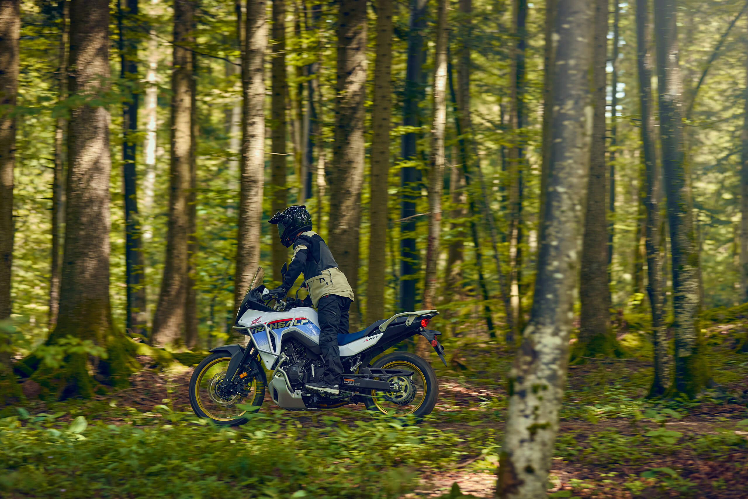 2025-Transalp-gallery-04-2560xauto