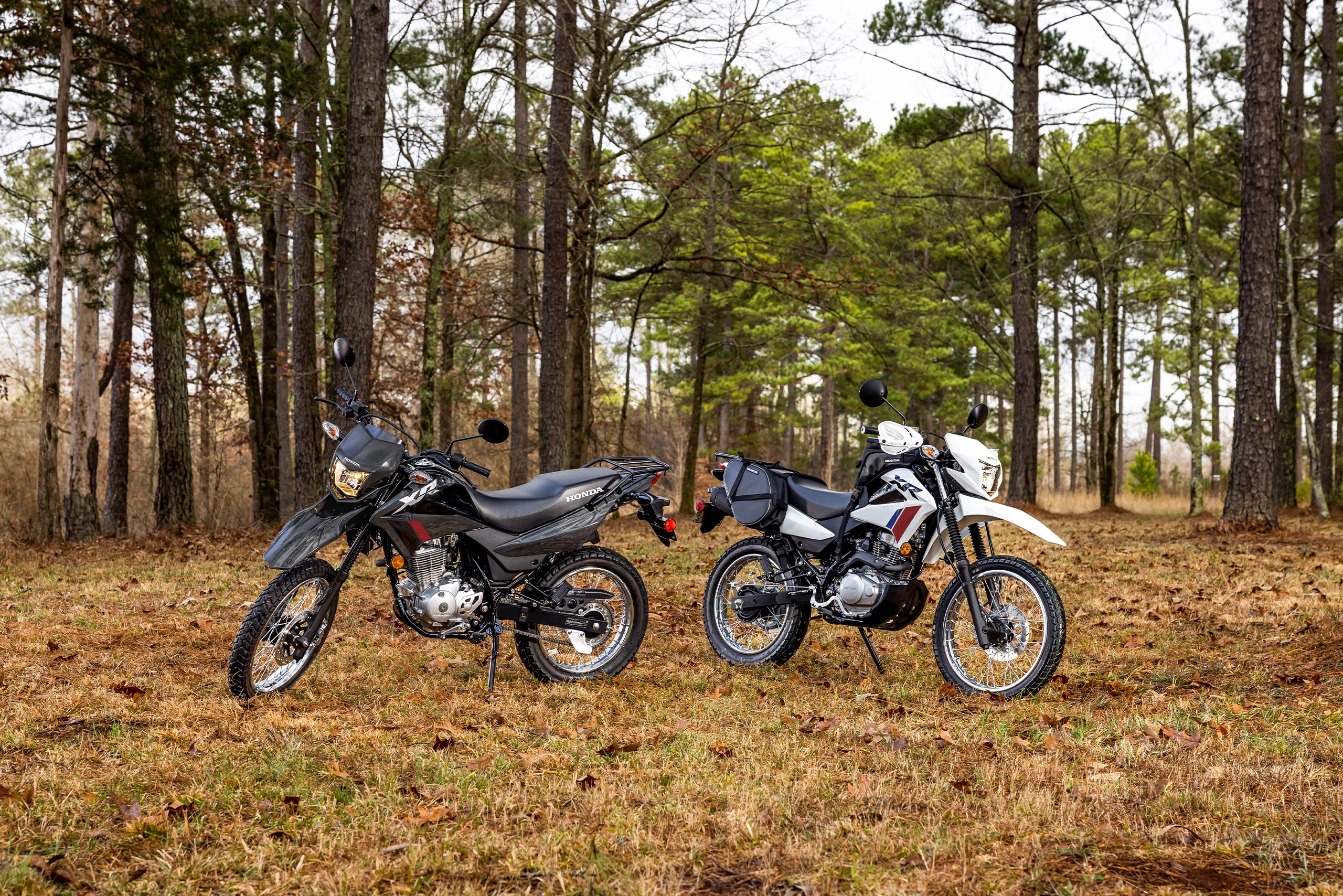 Honda 125 dual sport discount