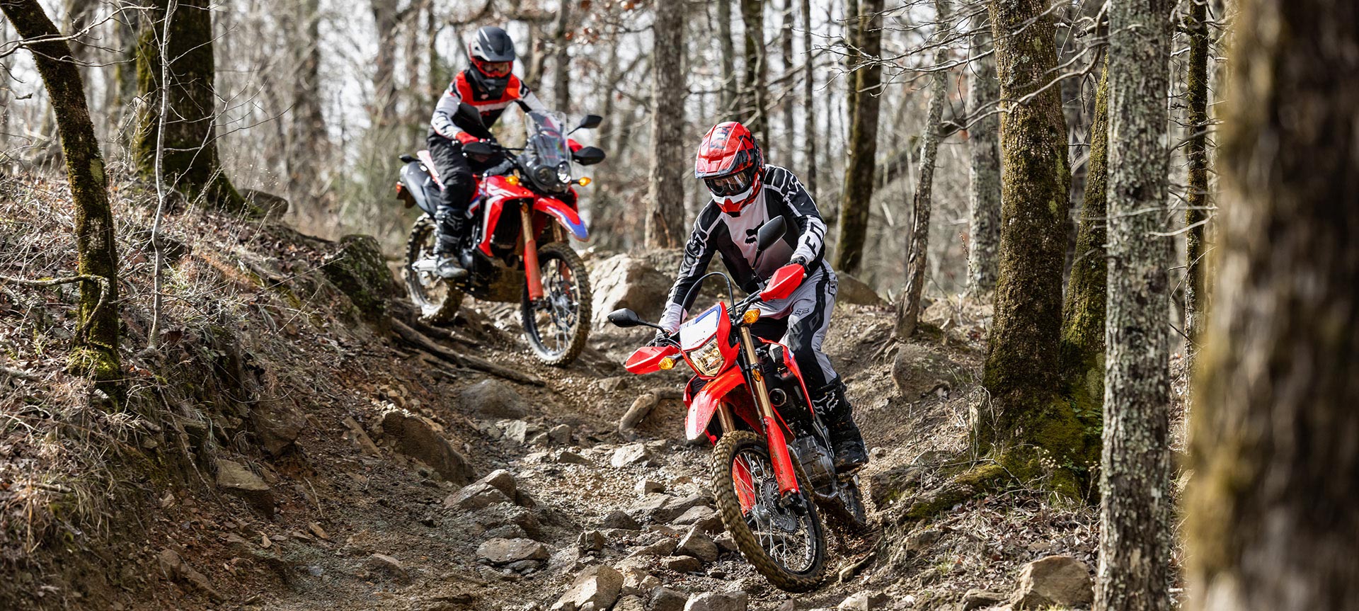 Dual Sport Motorcycles Honda