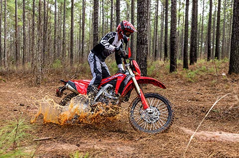 Honda crf dual sport best sale