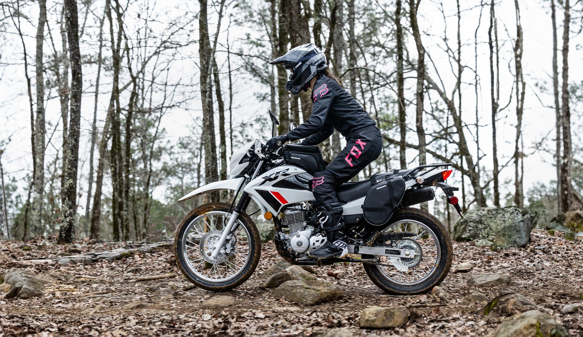 Trail sport bikes new arrivals