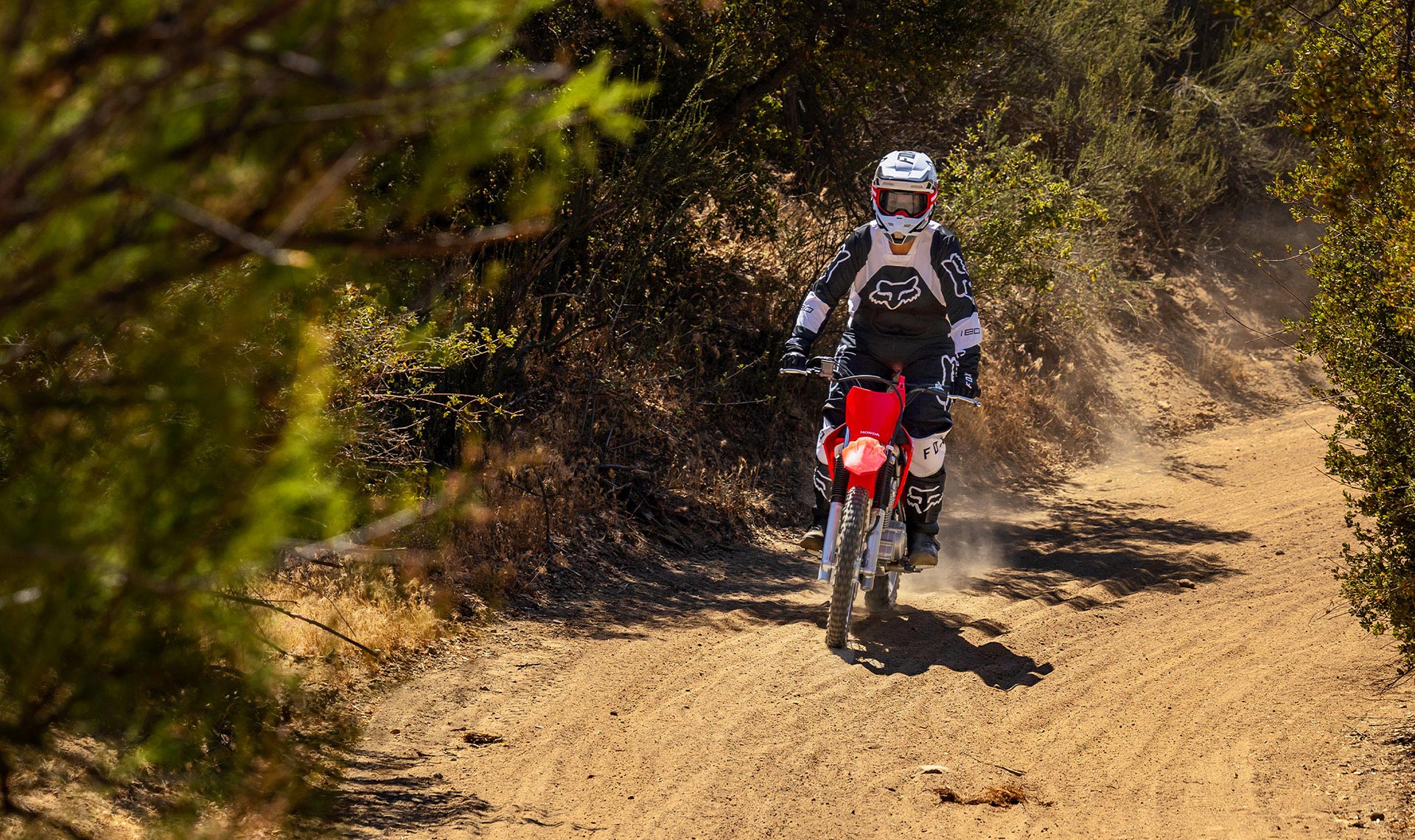 Honda cbr dirt bike discount