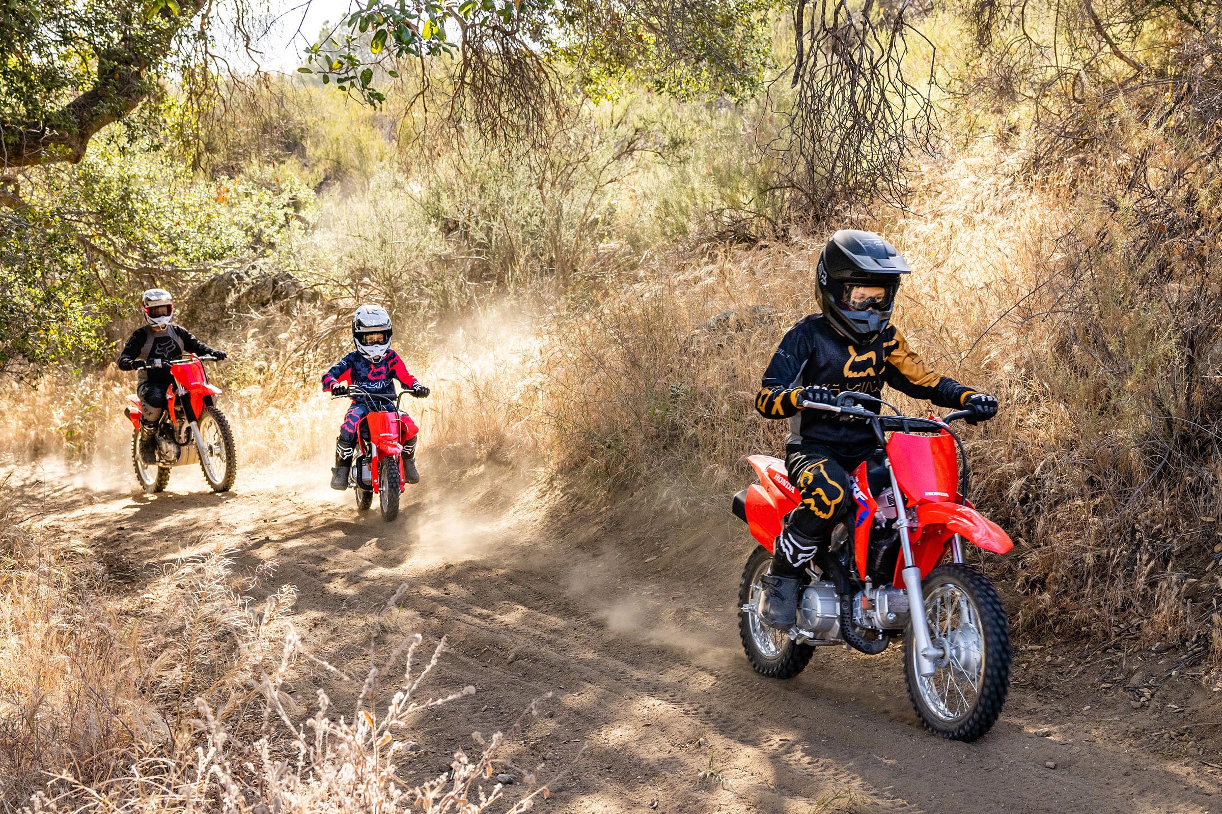 Honda crf dirt bike price discount