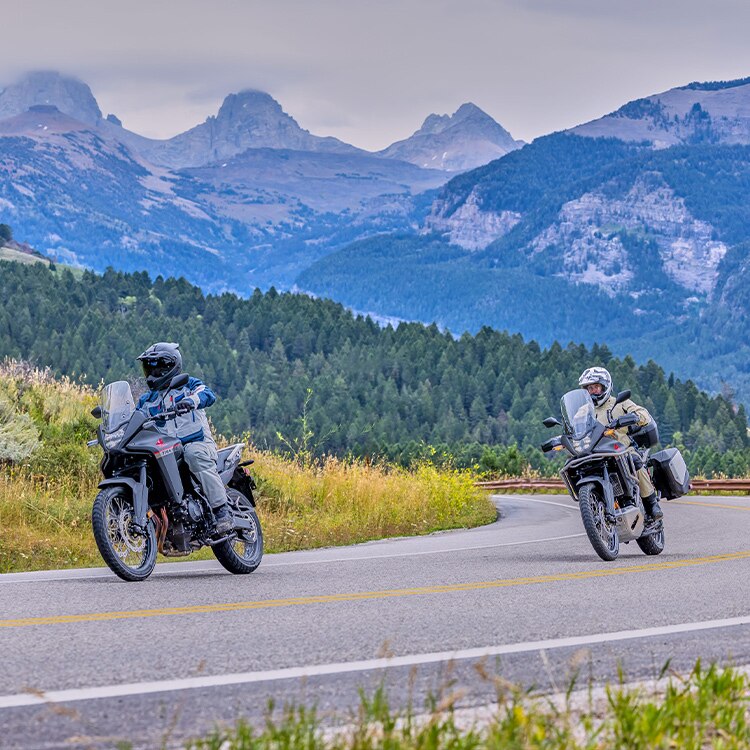 Gallery - Transalp 0