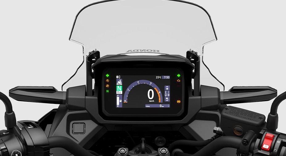 LCD instrument panel