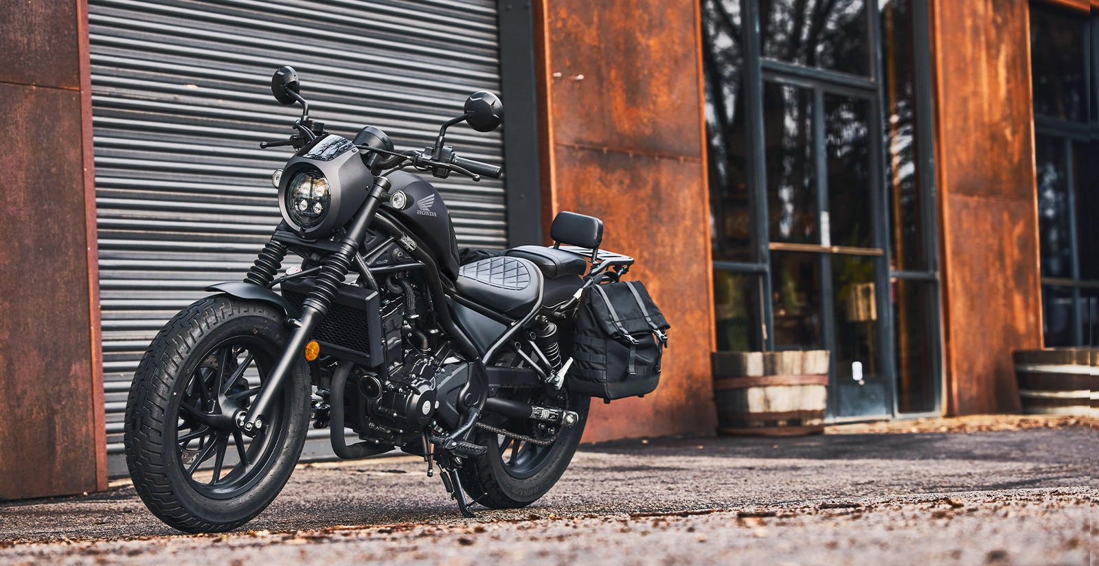 Rebel-300-next-steps