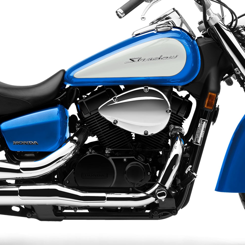 Honda shadow fuel injection online