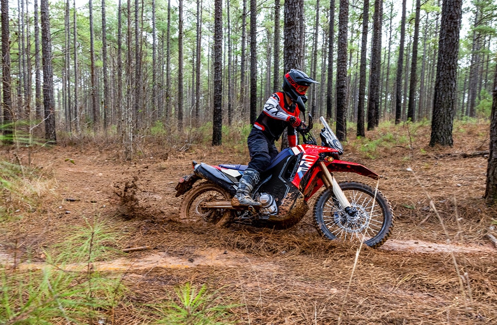 2025-CRF300L-Rally-gallery-03-968x634