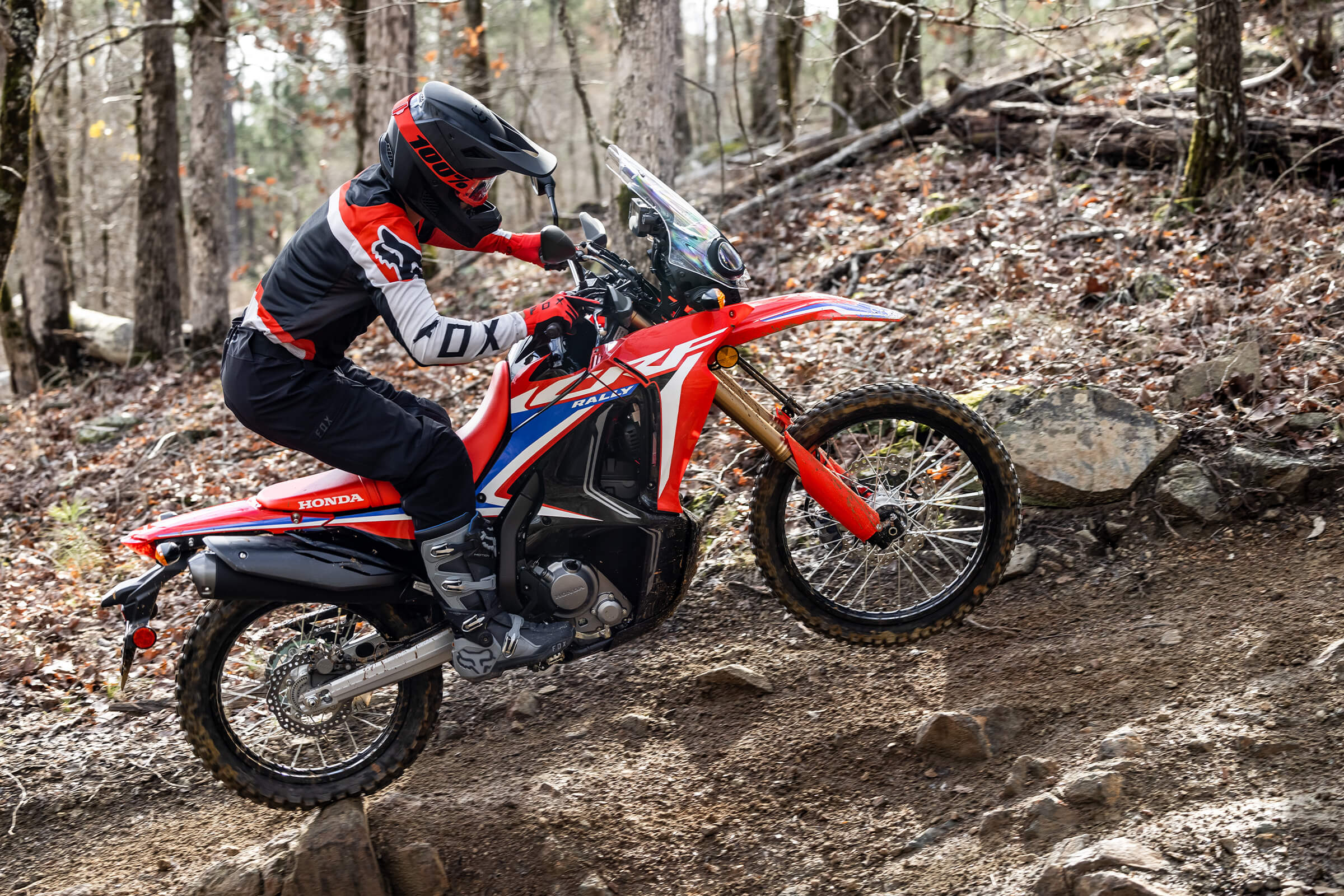 CRF300L Rally - Enduro Motorcycle - Honda