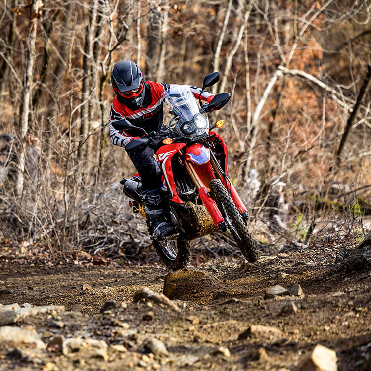 CRF300L Rally Enduro Motorcycle Honda