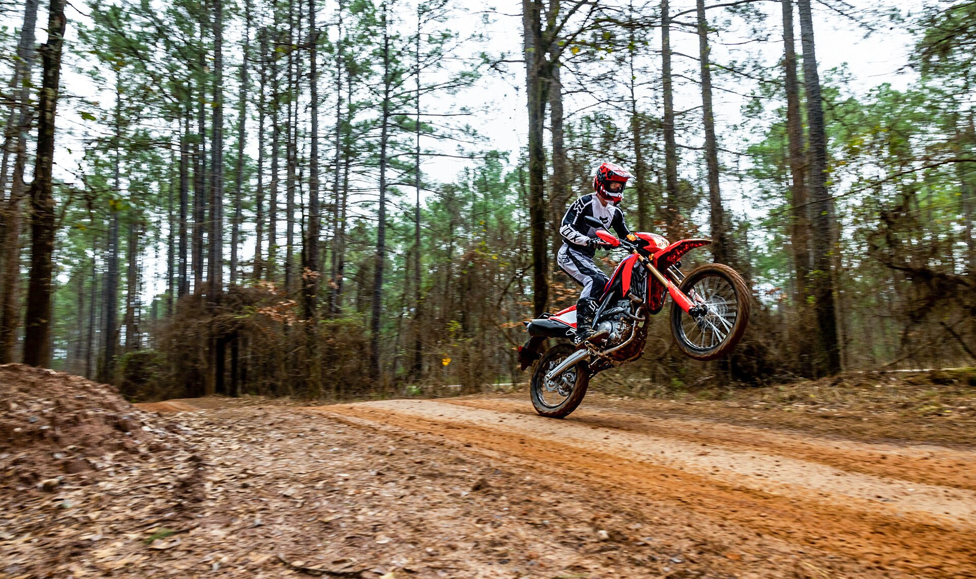 Crf300l abs for sale cheap