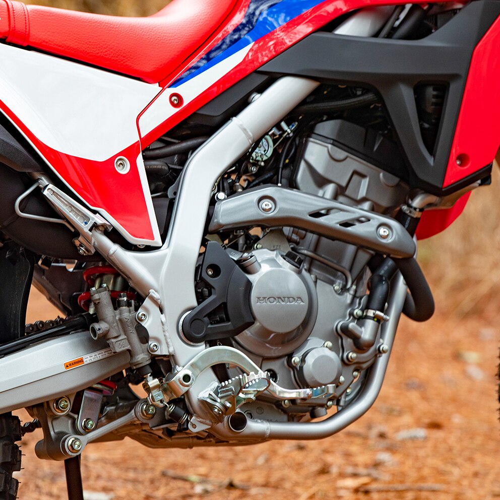 New honda 300 dual sport cheap