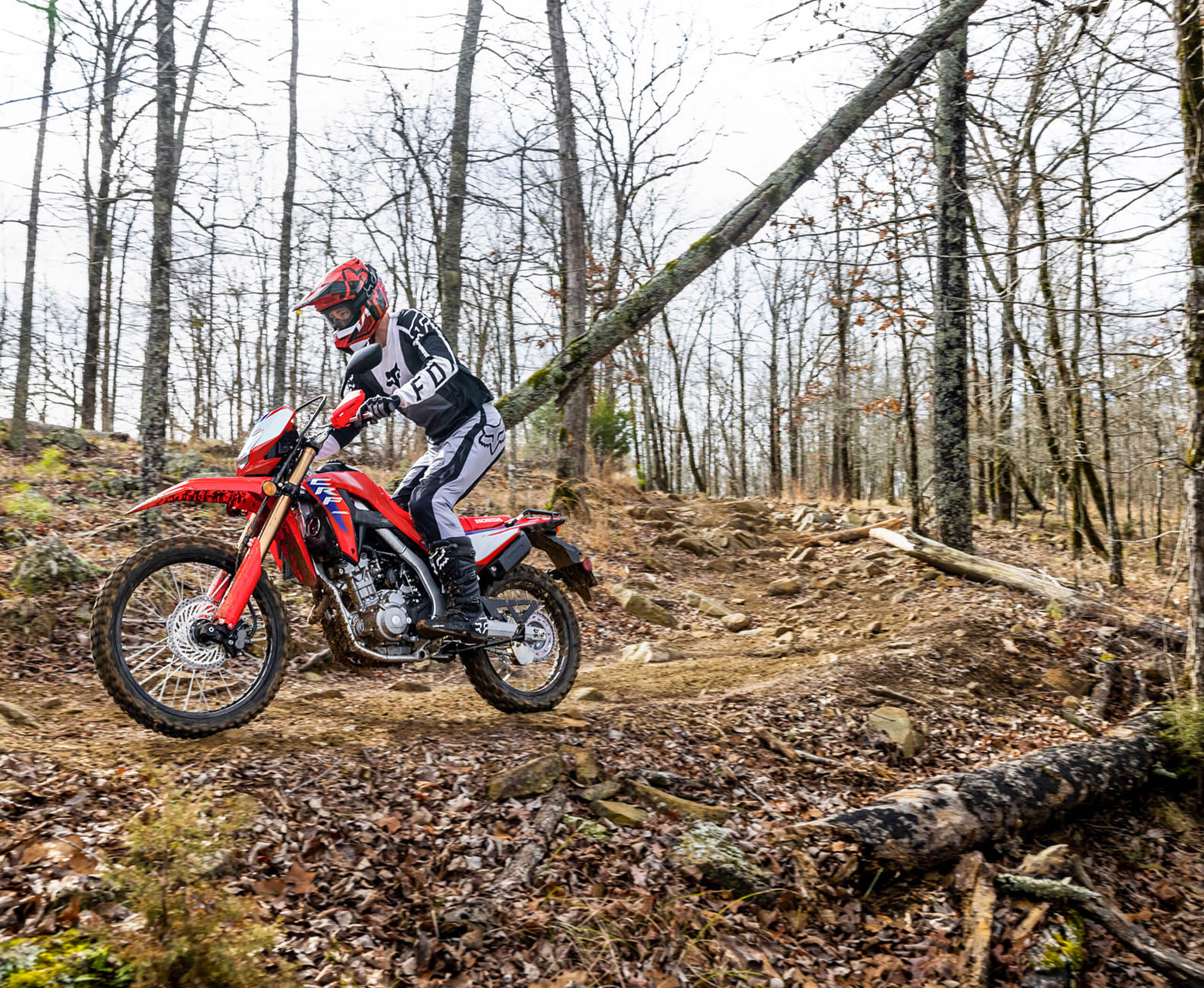 2025-CRF300L-gallery-03-2560x2101