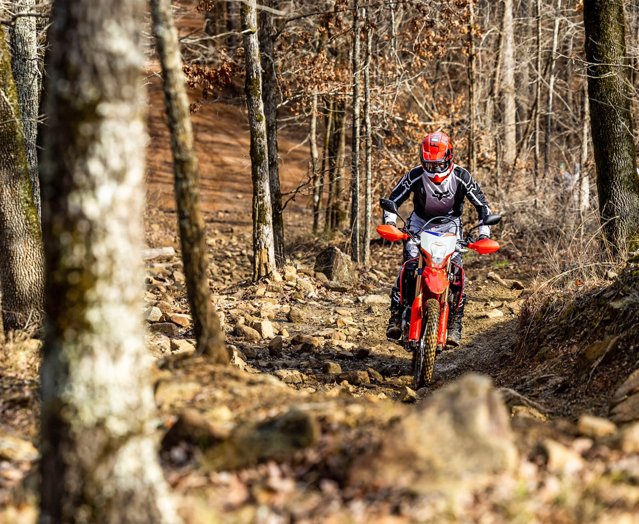 2025-CRF300L-gallery-04-2560x2101