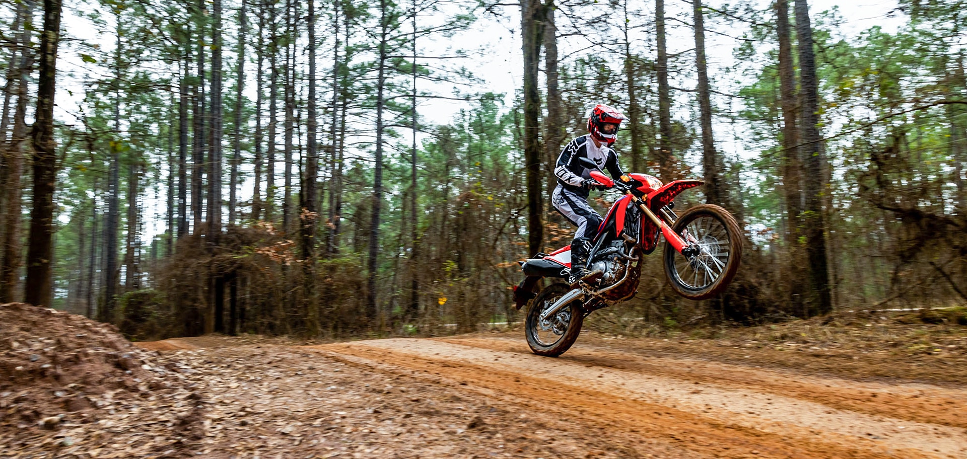 Honda 300 trail bike top