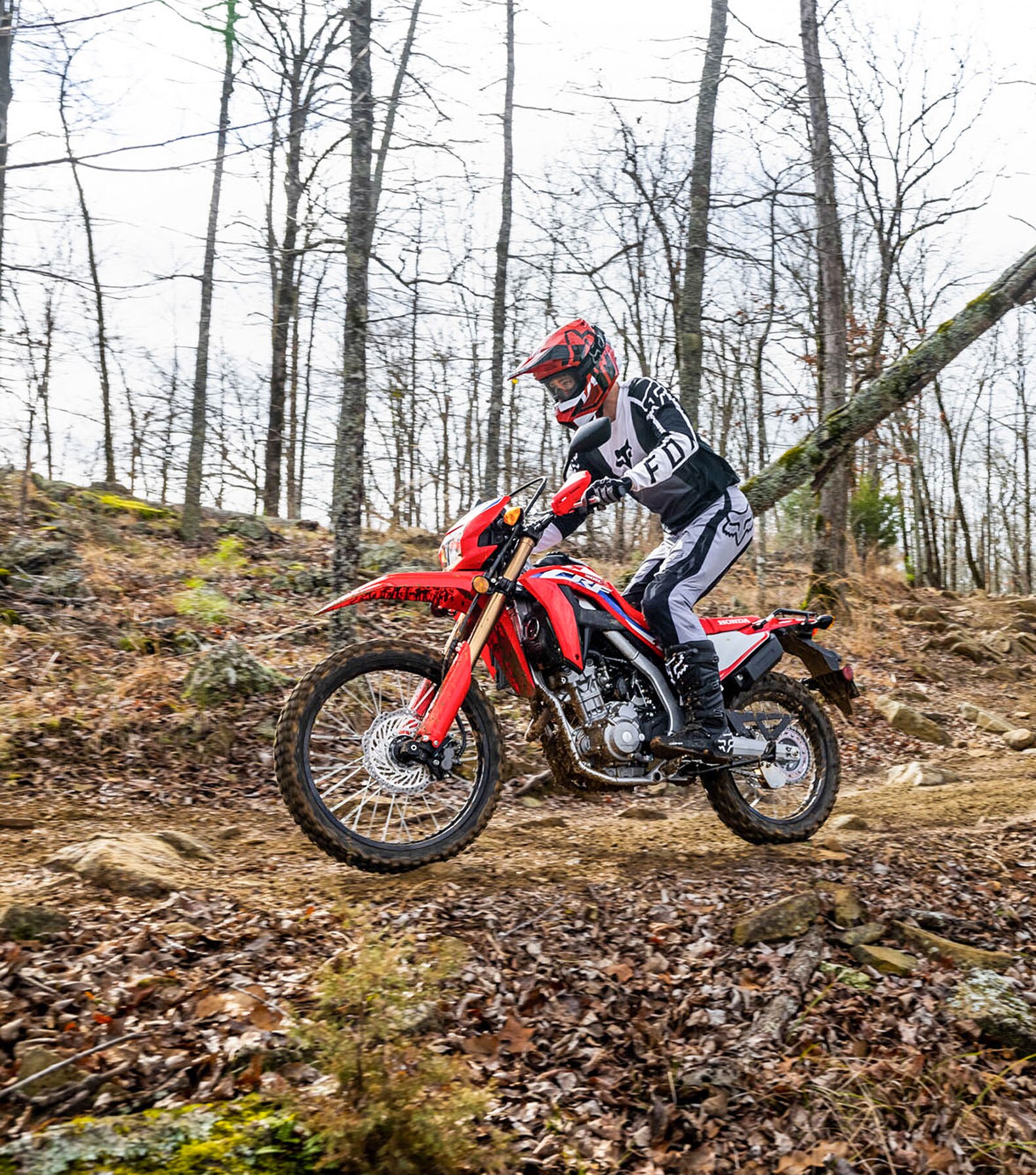 2020 honda crf300l top