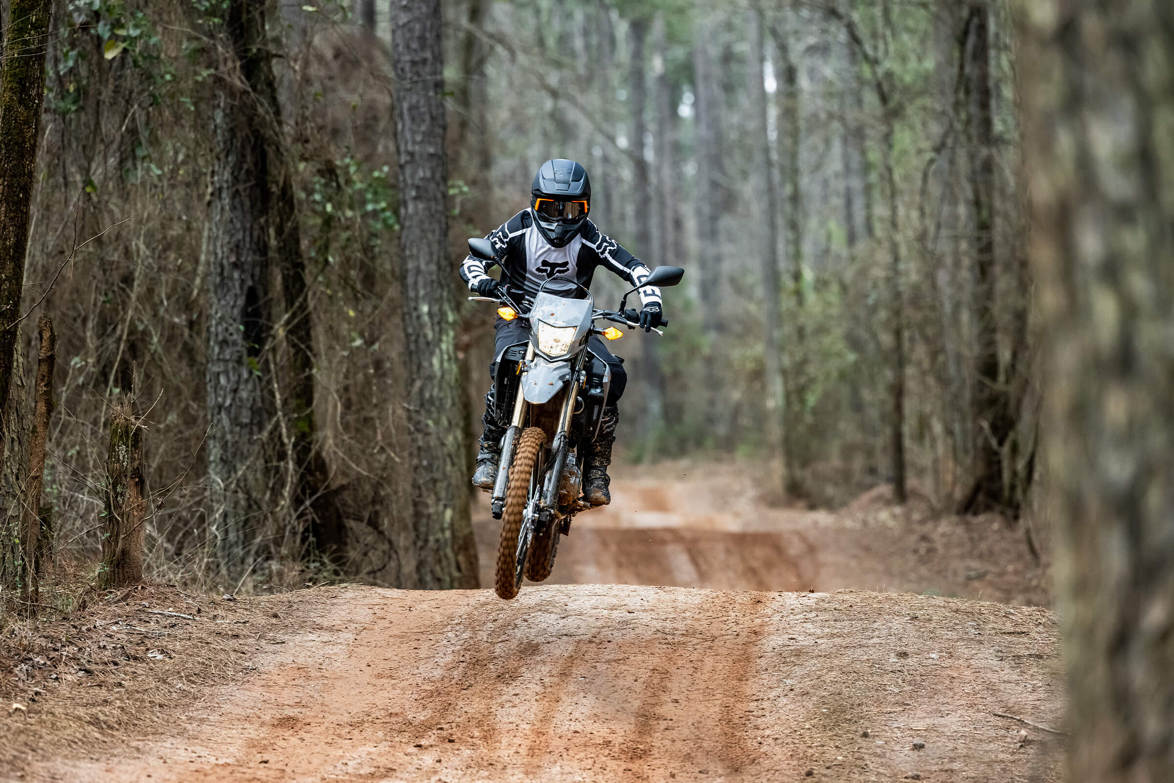 CRF300LS Dual Sport Motorcycle Honda