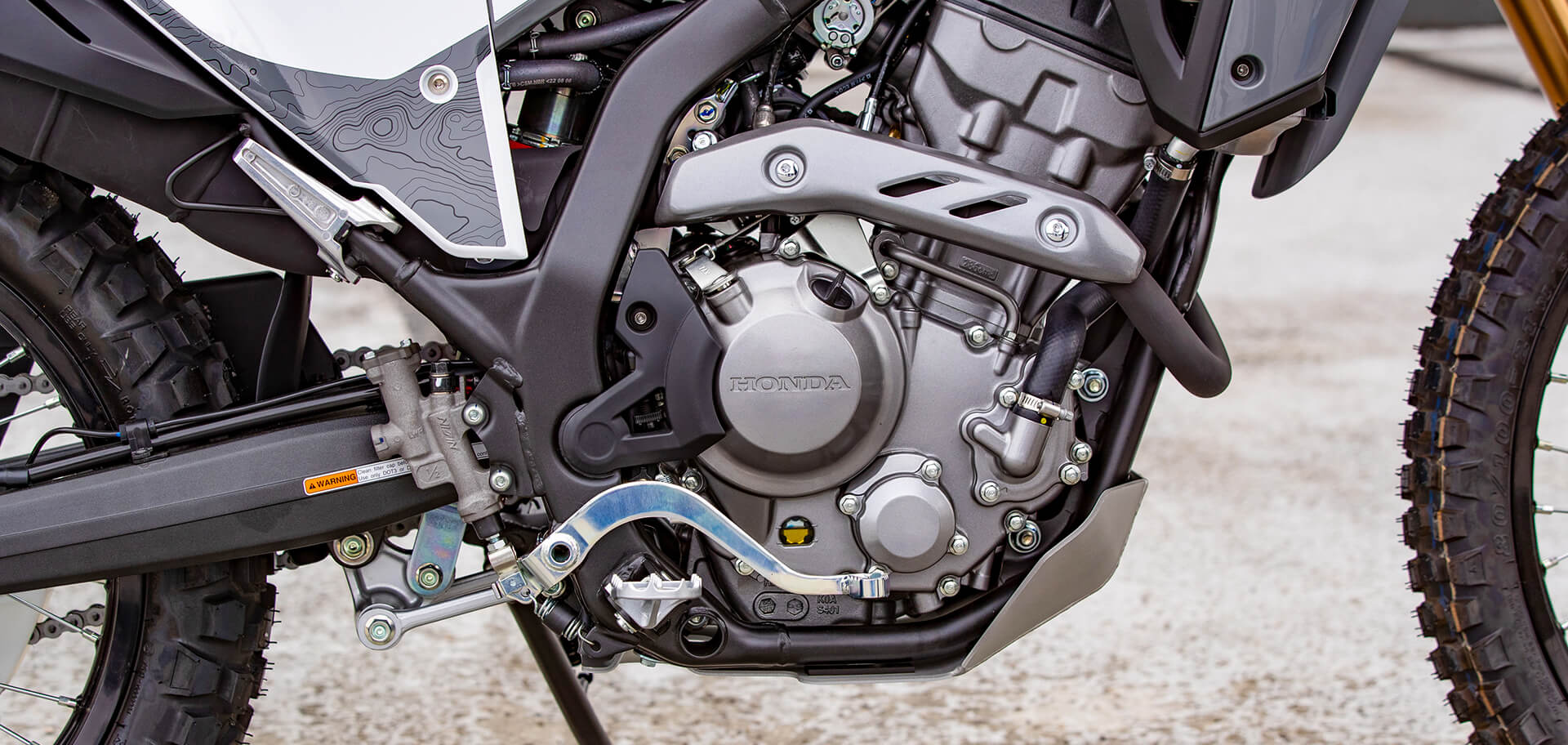 Honda dual sport 300 2025