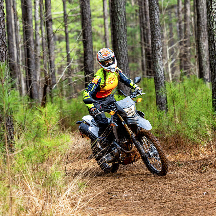 CRF300LS - Dual Sport Motorcycle - Honda