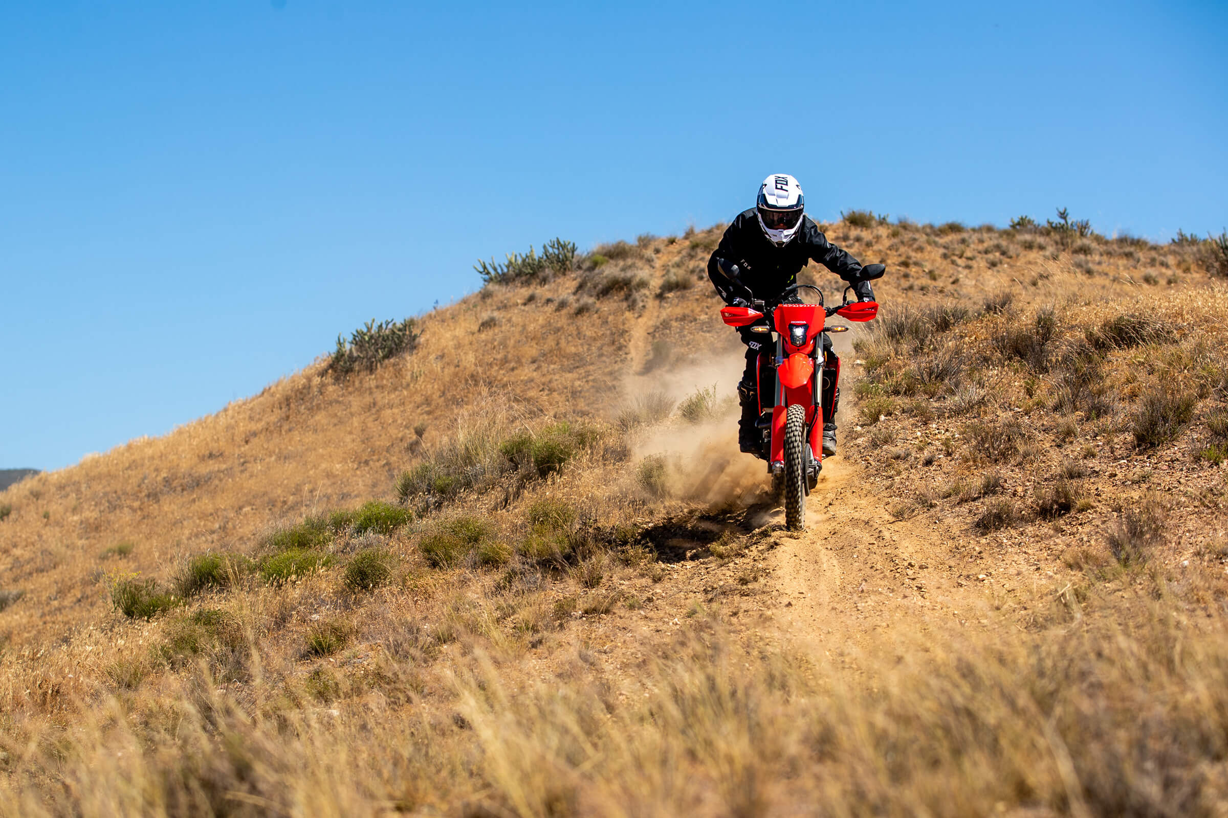 Crf450rlm discount